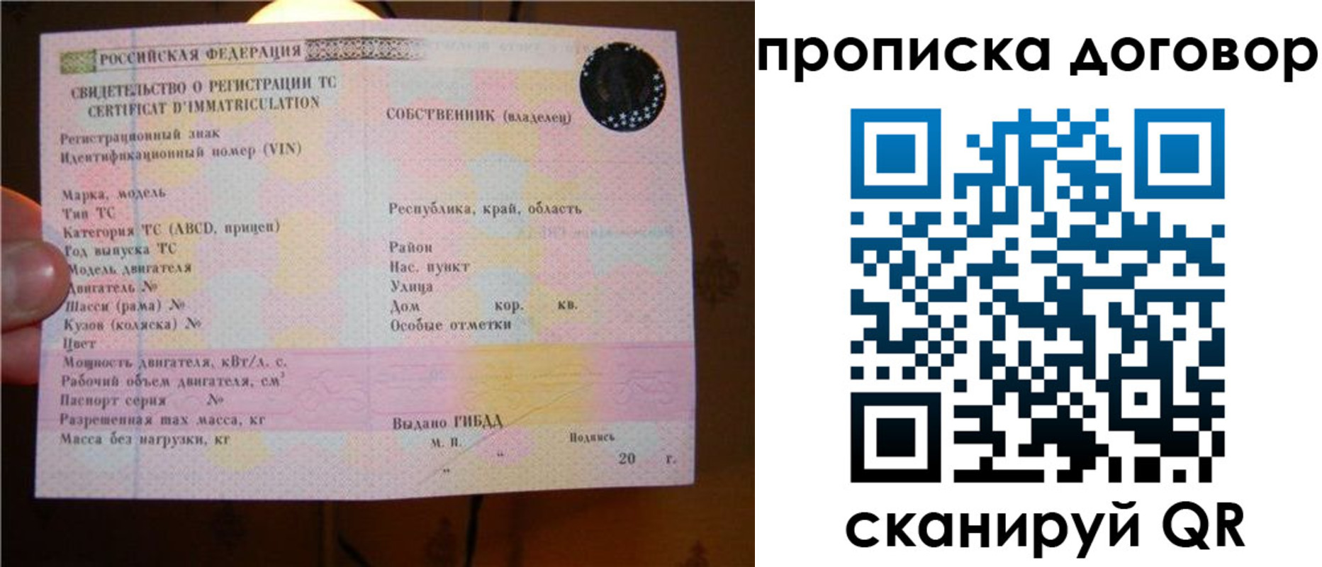 временная регистрация поиск в Волгоградской области